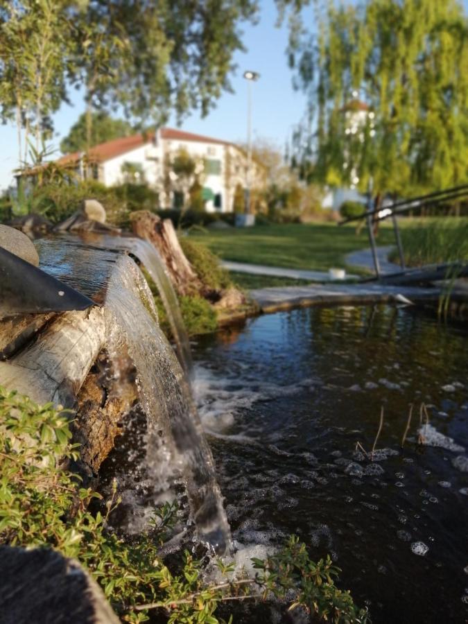Oasi Bianca Hotel Pomposa Eksteriør billede
